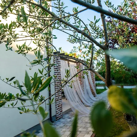 فيلة House 