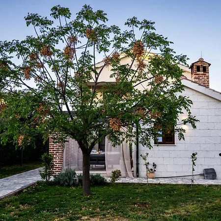 فيلة House 