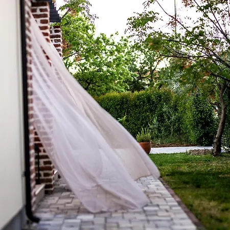 فيلة House 