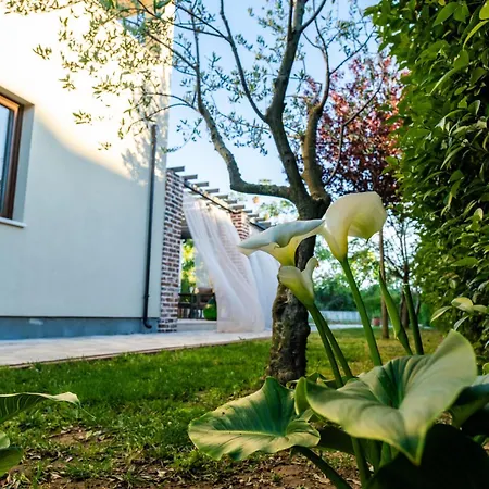 Villa House 