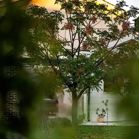 Villa House 